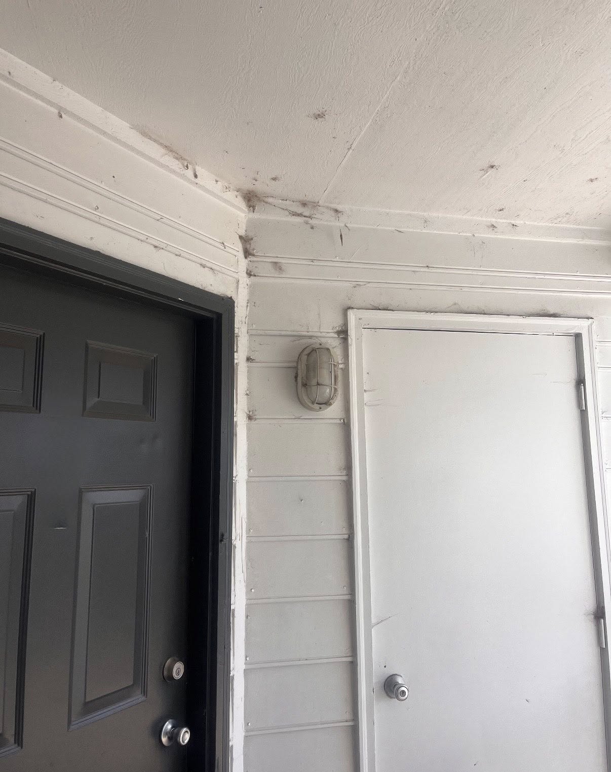 Home improvement project 19